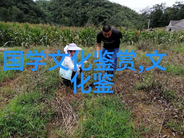 就中国农民丰收节有关情况举行发布会