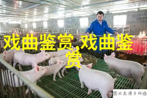 姜先生两次演出唢呐戏