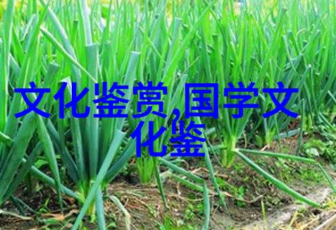 林安宁 唐培旭师公面具艺术拍摄与民俗影像数据库建设探索