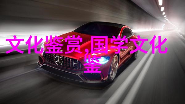 王晓华非物质文化遗产旅游化利用中的地方文化精英
