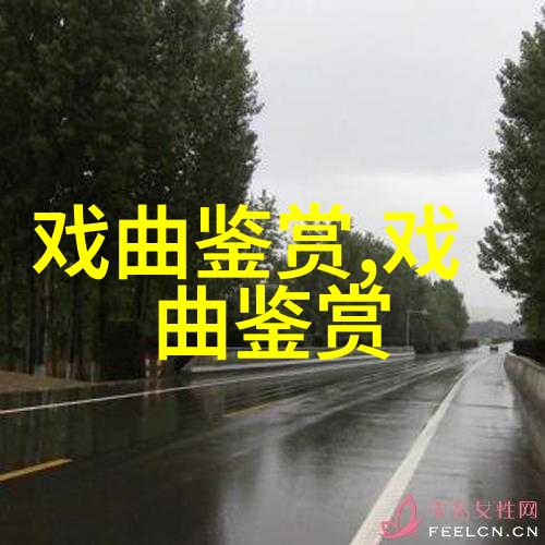 张凯画龙点睛观感