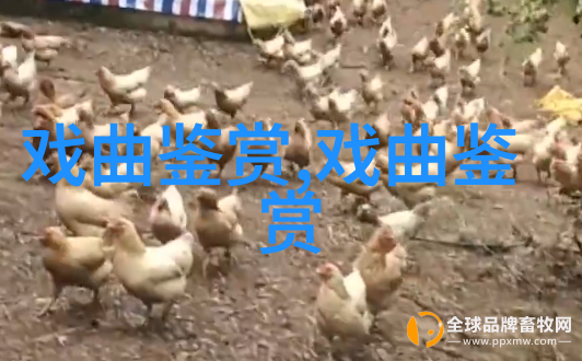 开掘人文精神寻求意象表达