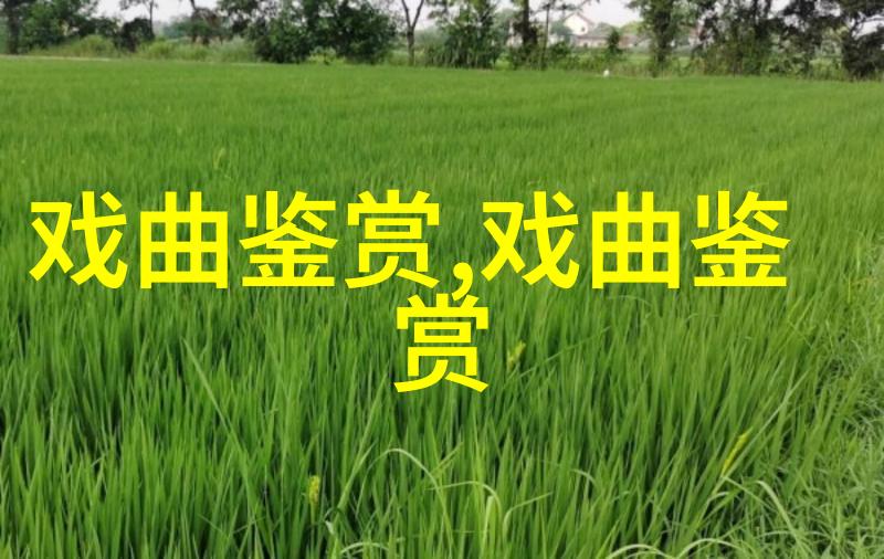 看刘琪的京剧白毛女